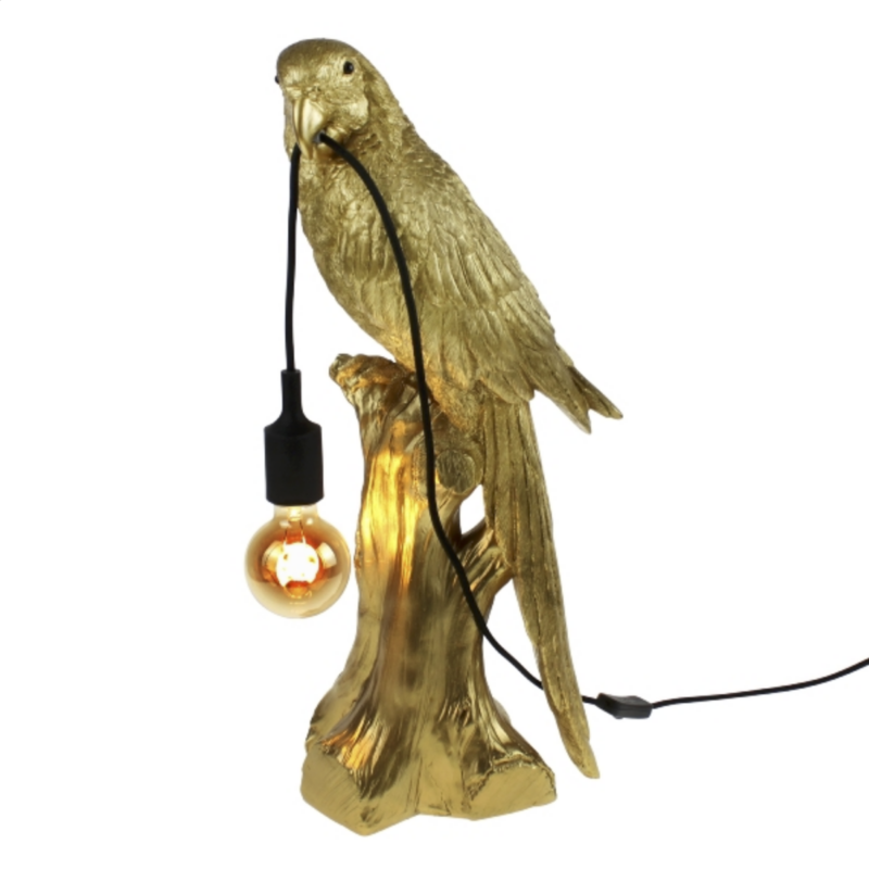 Lampe perroquet