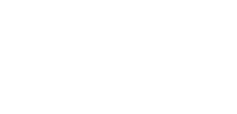 logo bibiche.store